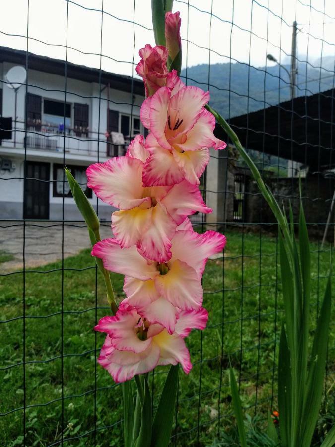 Villar PelliceChez Bonjour别墅 外观 照片